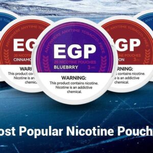 EGP Nicotine Pouches 9mg & 14 mg - Vape Shop Dubai