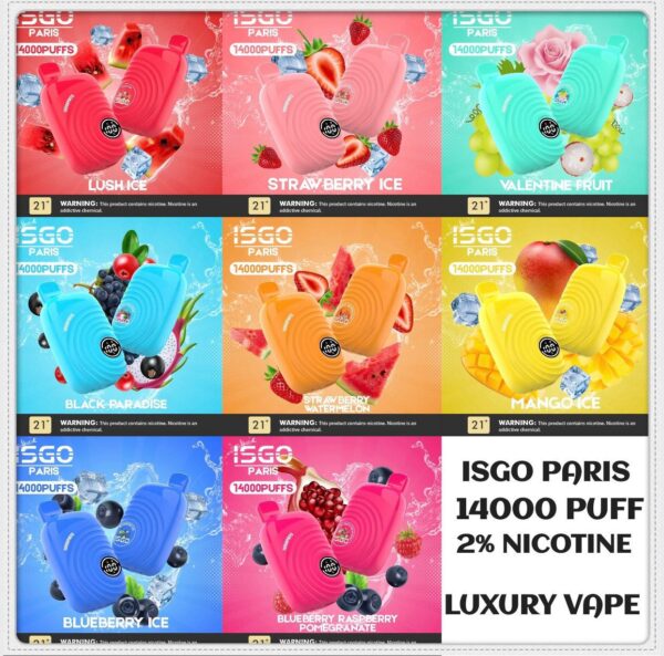 ISGO Paris 14000 Puffs Disposable | Vape Shops Near Me