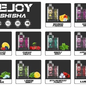 Rejoy Shisha 14000 Puffs | Vape Shop In Dubai Mall