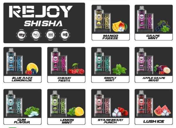 Rejoy Shisha 14000 Puffs | Vape Shop In Dubai Mall